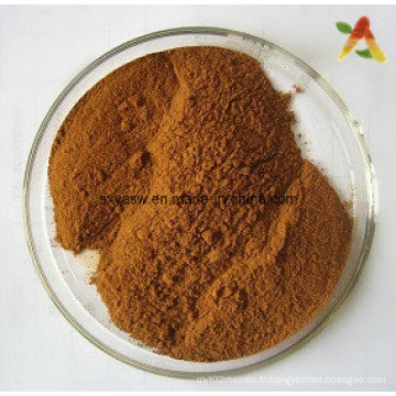 Fabricant Fournir Sennoside Natural Senna Leaf Extract